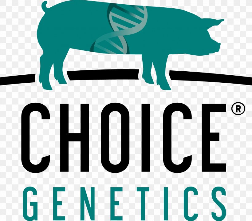 Choice Genetics USA, LLC Domestic Pig Animal Genetics, PNG, 2497x2191px, Genetics, Animal, Animal Breeding, Area, Artwork Download Free