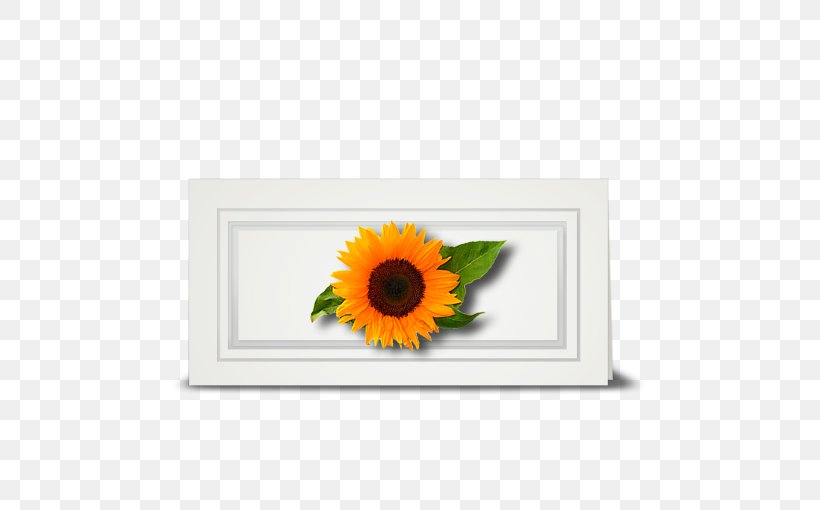 Common Sunflower Cut Flowers Floral Design Daisy Family, PNG, 510x510px, Flower, Common Sunflower, Cut Flowers, Daisy Family, Floral Design Download Free