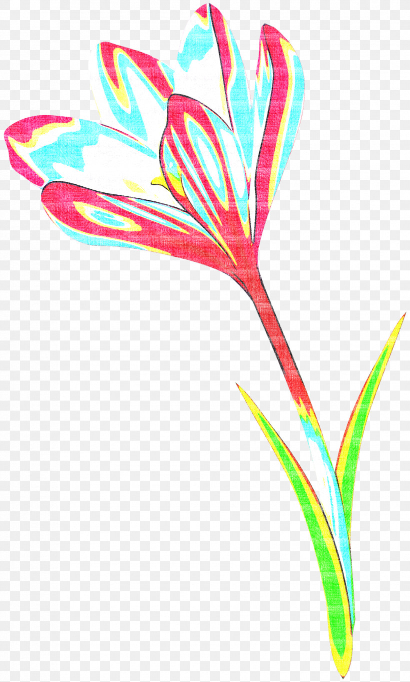 Plant Flower Pedicel Plant Stem, PNG, 1805x3000px, Plant, Flower, Pedicel, Plant Stem Download Free