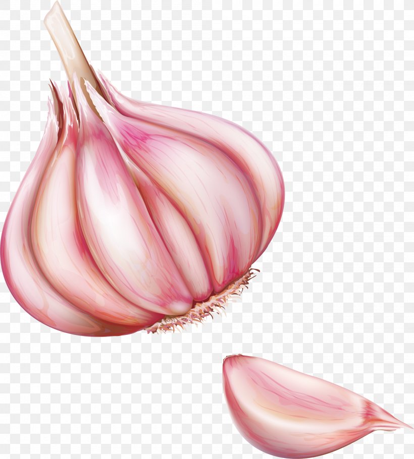 Red Onion Vegetable, PNG, 2000x2220px, Onion, Food, Garlic, Gratis, Ingredient Download Free