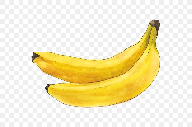 Saba Banana Cooking Banana Fruit Apricot, PNG, 675x540px, Saba Banana, Apricot, Auglis, Banana, Banana Family Download Free