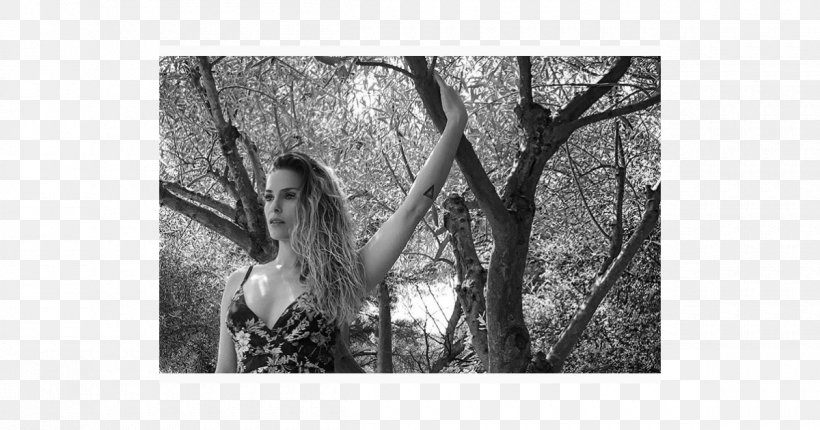 Trunk Branching Stock Photography, PNG, 1200x630px, Trunk, Black And White, Branch, Branching, Clara Morgane Download Free