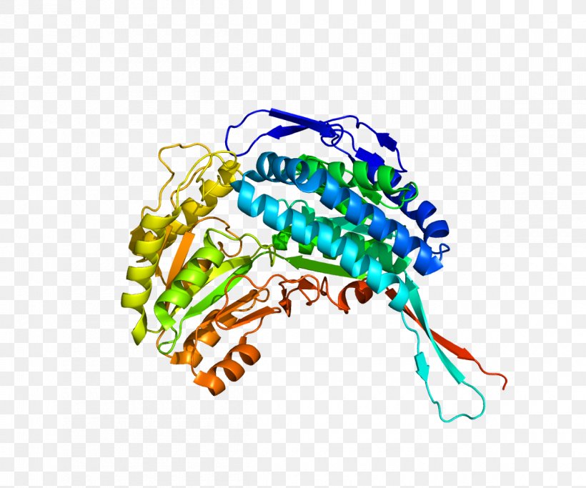 Aldehyde Dehydrogenase 5 Family, Member A1 Gene, PNG, 1200x1000px, Watercolor, Cartoon, Flower, Frame, Heart Download Free