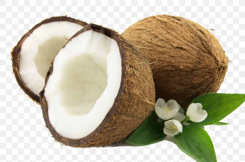 Coconut Water Coconut Milk Coconut Oil, PNG, 1920x1277px, Coconut Water, Arecaceae, Coconut, Coconut Cream, Coconut Milk Download Free