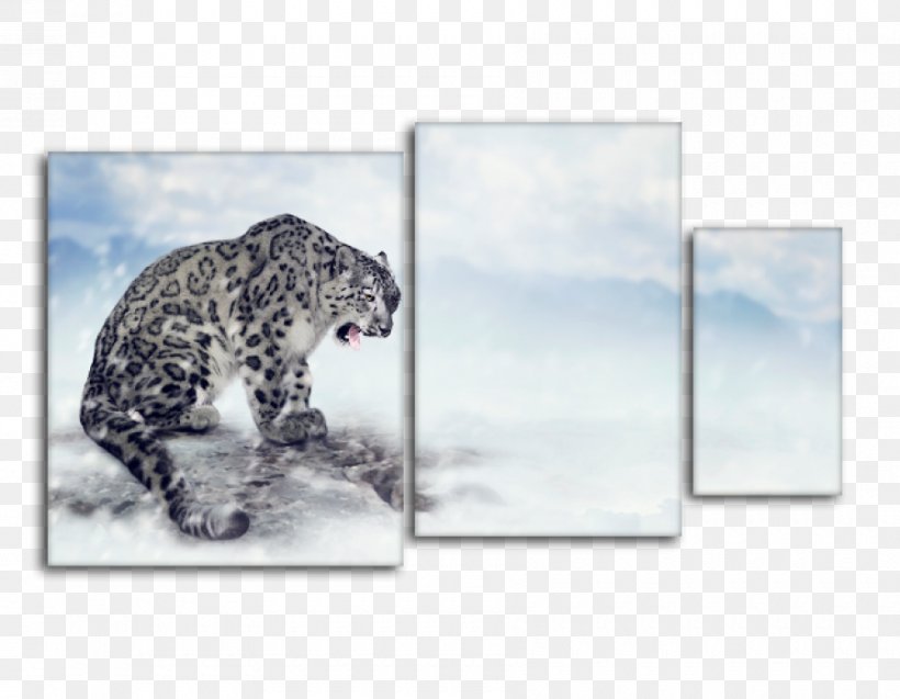 Snow Leopard Stock Photography Royalty-free, PNG, 900x700px, Leopard, Alamy, Big Cats, Carnivoran, Cat Like Mammal Download Free