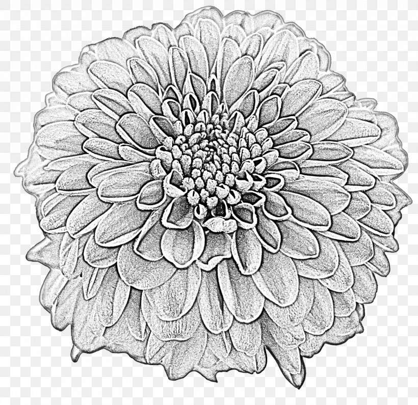 Drawing Dahlia Flower Clip Art Image, PNG, 1280x1241px, Watercolor, Cartoon, Flower, Frame, Heart Download Free