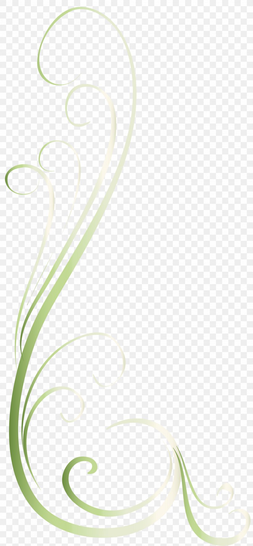 Green Font, PNG, 2123x4578px, Green, Flower, Leaf, Text Download Free