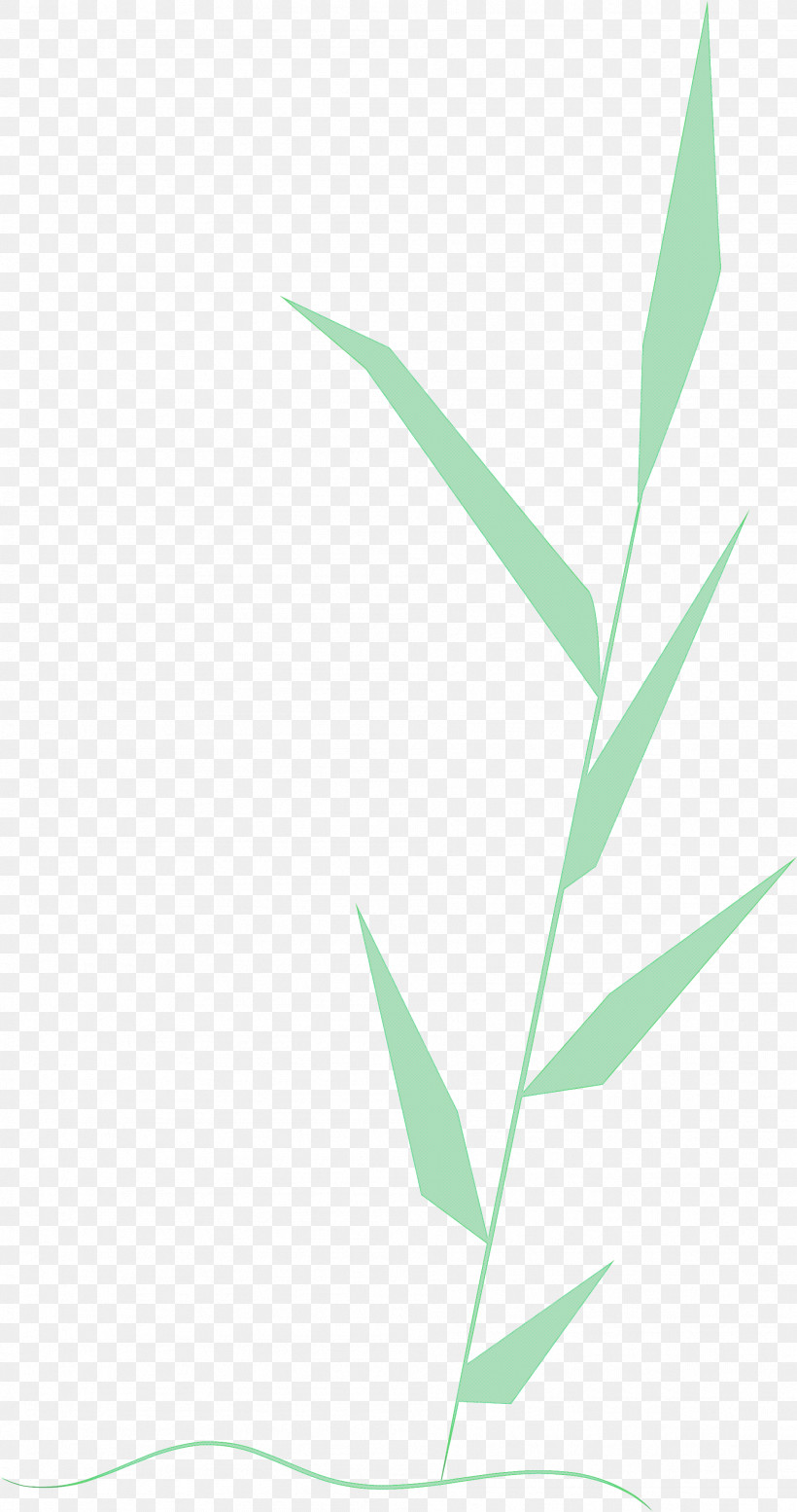 Palm Trees, PNG, 1898x3597px, Leaf, Angle, Branch, Grasses, Green Download Free