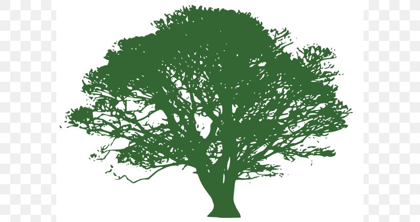 Tree Blue Oak Clip Art, PNG, 600x434px, Tree, Blue, Branch, Drawing, Free Content Download Free