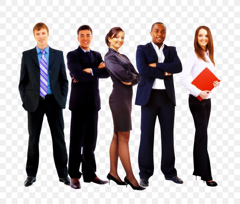 Social Group Team White-collar Worker Business Businessperson, PNG, 700x700px, Social Group, Business, Businessperson, Collaboration, Employment Download Free