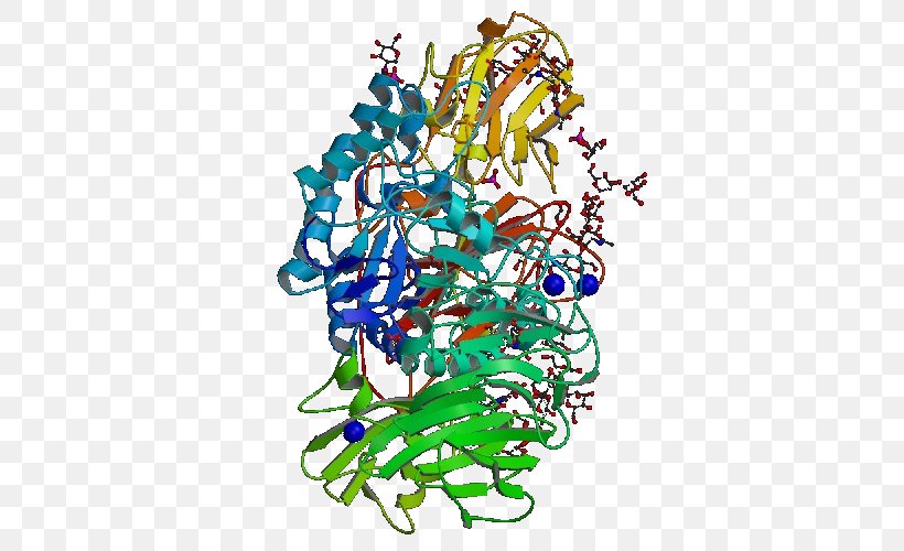 Beta-galactosidase Galactosidases Lactase Enzyme Glycoside Hydrolase, PNG, 500x500px, Betagalactosidase, Artwork, Betaglucosidase, Branch, E Coli Download Free