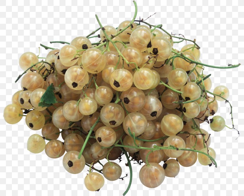 Fruit White Currant Clip Art, PNG, 800x660px, 3d Computer Graphics, Fruit, Currant, Display Resolution, Drawing Download Free