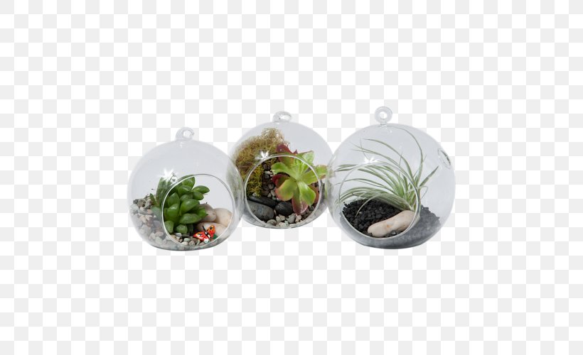 Garden Houseplant Watering Cans Flowerpot, PNG, 500x500px, Garden, Bowl, Cactaceae, Cactus Garden, Ceramic Download Free