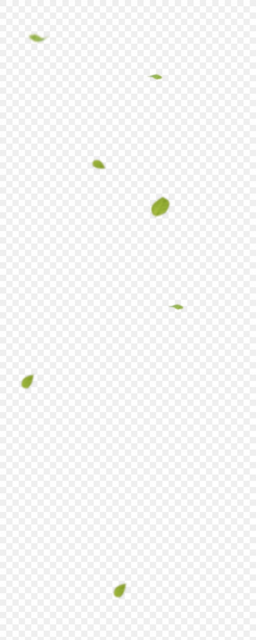 Leaf Pattern, PNG, 1600x4000px, Leaf, Computer, Grass, Green, Petal Download Free