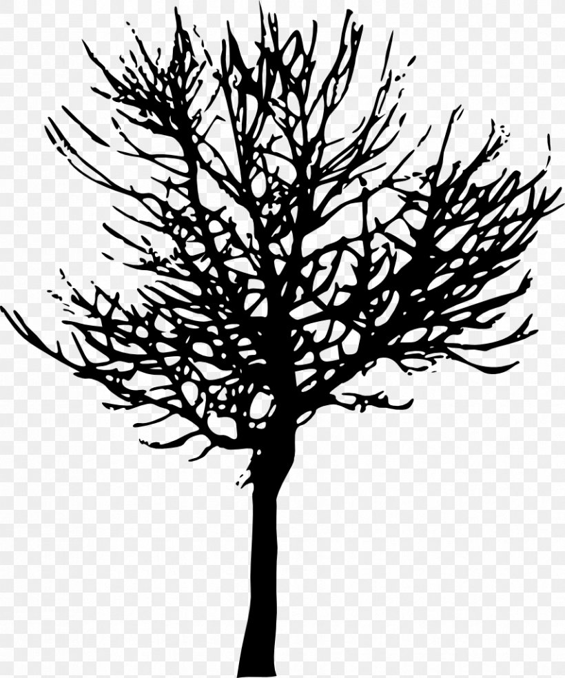 Tree Branch Desktop Wallpaper Clip Art, PNG, 853x1024px, Tree, Black And White, Branch, Flower, Leaf Download Free