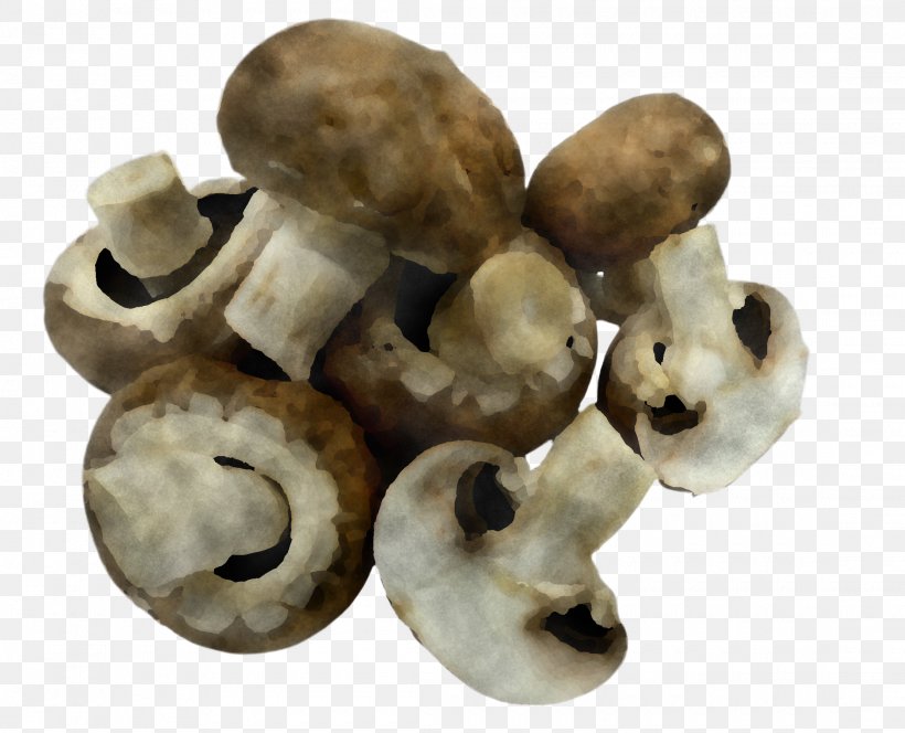 Champignon Mushroom Mushroom Bone Figurine Agaricus, PNG, 2220x1800px, Champignon Mushroom, Agaricus, Beige, Bone, Figurine Download Free