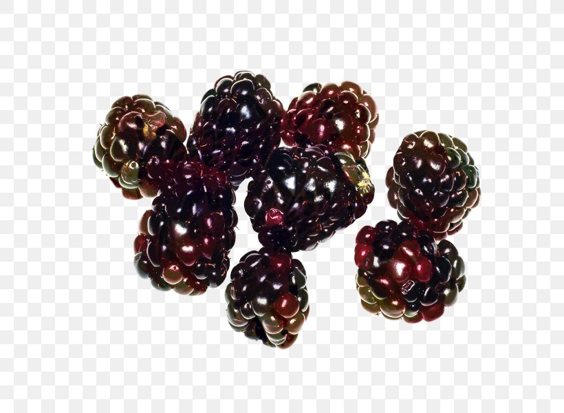 Fruit Cartoon, PNG, 600x600px, Boysenberry, Accessory Fruit, Bead, Berries, Berry Download Free