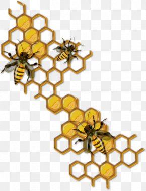 Western Honey Bee Honeycomb Clip Art, PNG, 800x773px, Bee, Arthropod ...