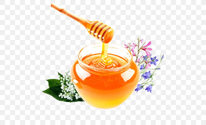 Honey Sweet Clovers Disease Bee Health, PNG, 500x500px, Honey, Apiary, Bed Bug Bite, Bee, Beekeeping Download Free