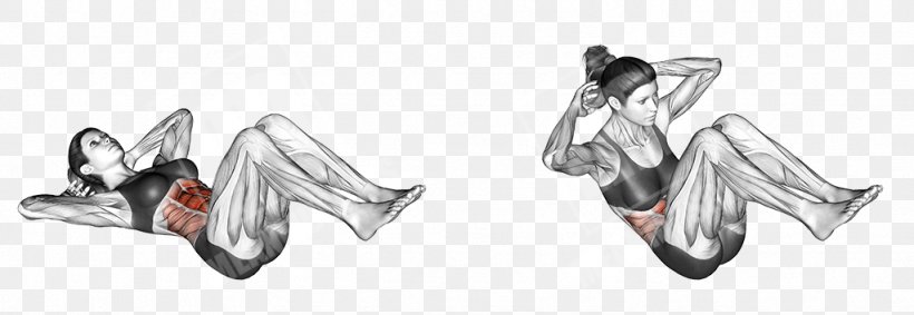 Sit-up Exercise Abdomen Human Body Human Back, PNG, 1024x354px, Situp, Abdomen, Automotive Design, Black And White, Body Jewelry Download Free