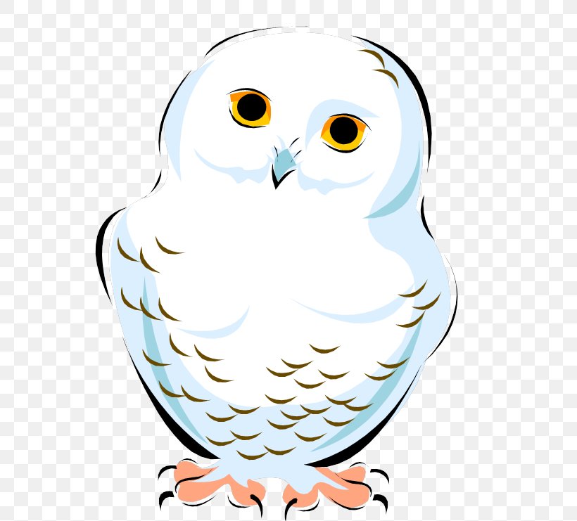 Snowy Owl Clip Art Image Vector Graphics, PNG, 628x741px, Owl, Animal, Arctic Fox, Art, Artwork Download Free