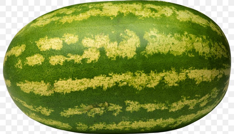 Melon Food Fruit Clip Art, PNG, 800x470px, Melon, Cantaloupe, Citrullus, Citrullus Lanatus Var Lanatus, Cucumber Gourd And Melon Family Download Free
