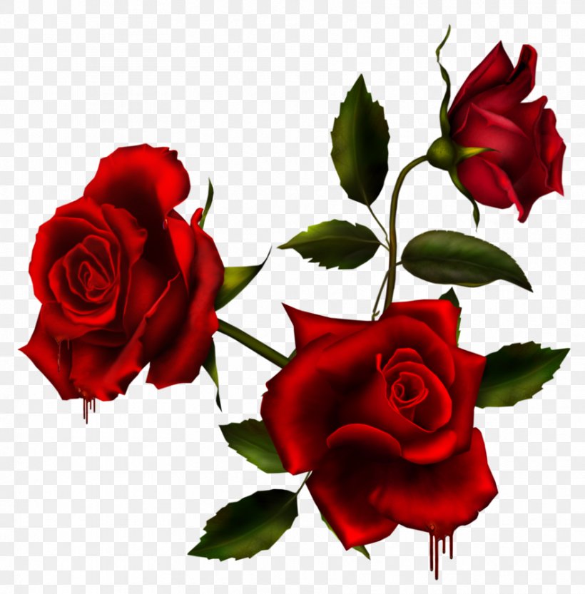 Rose Flower Clip Art, PNG, 886x901px, Rose, China Rose, Cut Flowers, Deviantart, Digital Image Download Free