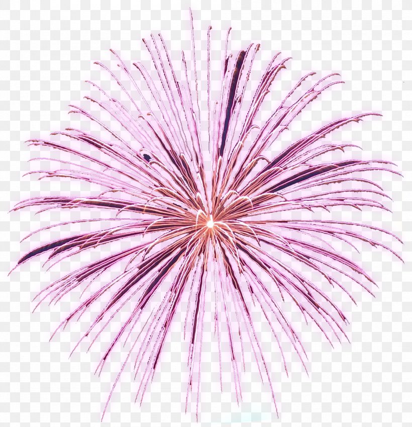 Adobe Fireworks Clip Art, PNG, 1894x1961px, Adobe Fireworks, Animation, Computer Animation, Fireworks, Flower Download Free