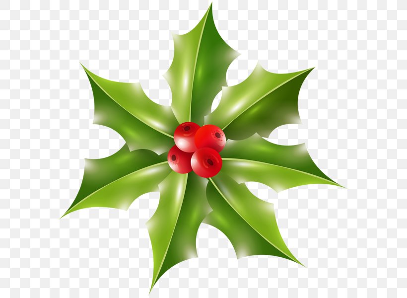 Clip Art Image Christmas Day Vector Graphics, PNG, 591x600px, Christmas Day, Christmas Decoration, Common Holly, Flora, Flower Download Free