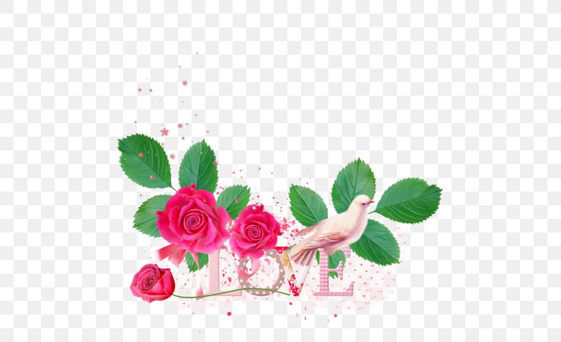 Garden Roses Valentine's Day Clip Art, PNG, 500x500px, Garden Roses, Blossom, Computer Cluster, Cut Flowers, Dots Per Inch Download Free
