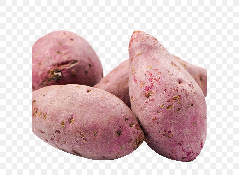 Sweet Potato Vegetable Dioscorea Alata, PNG, 600x600px, Sweet Potato, Beet, Dioscorea Alata, Food, Fruit Download Free