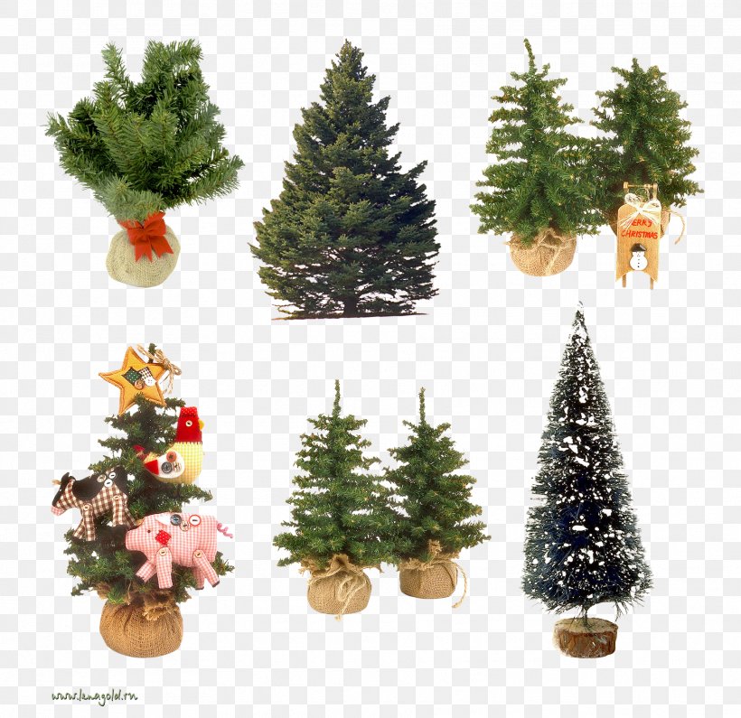 Christmas Tree Christmas Ornament New Year Tree Spruce Clip Art, PNG, 1817x1762px, Christmas Tree, Christmas, Christmas Decoration, Christmas Ornament, Conifer Download Free