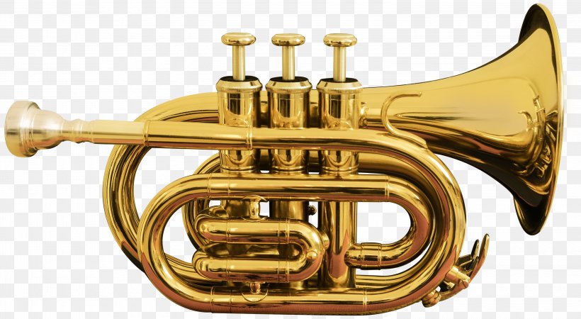 Cornet Trumpet Musical Instrument Brass Instrument Bore, PNG, 3000x1647px, Watercolor, Cartoon, Flower, Frame, Heart Download Free