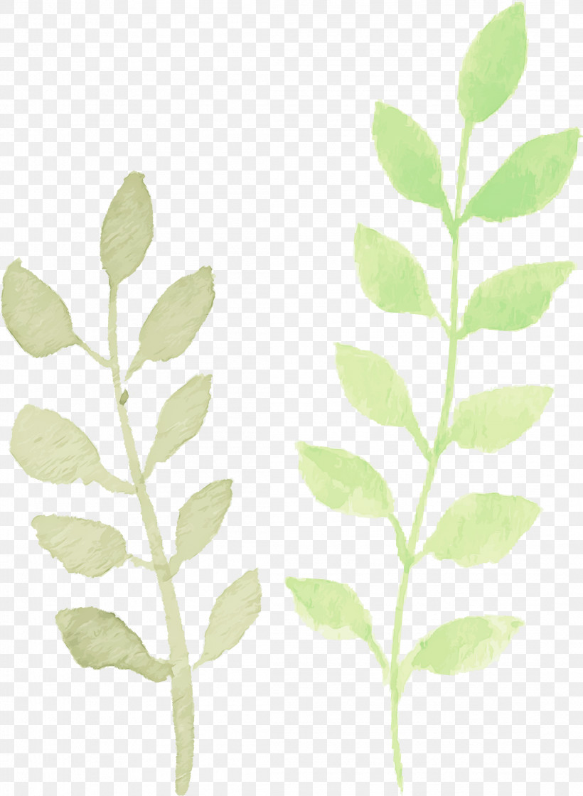Leaf Plant Flower Tree Plant Stem, PNG, 2196x3000px, Watercolor Leaf, Flower, Leaf, Pedicel, Plant Download Free
