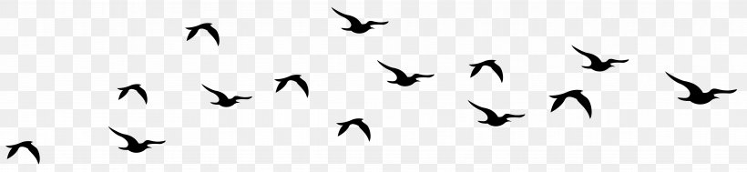 Bird Drawing Silhouette Clip Art, PNG, 7919x1829px, Bird, Animal Migration, Beak, Bird Migration, Black Download Free