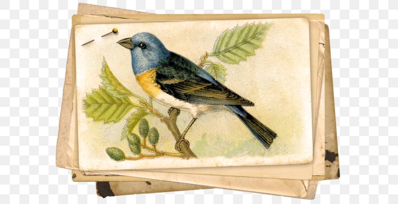 Bird Nest Paper Clip Art, PNG, 600x420px, Bird, Beak, Bird Nest, Birdcage, Common Nightingale Download Free