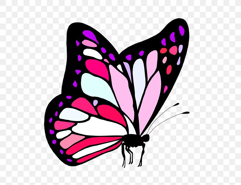 Butterfly Pink Moths And Butterflies Insect Clip Art, PNG, 640x628px, Butterfly, Brushfooted Butterfly, Insect, Moths And Butterflies, Pink Download Free