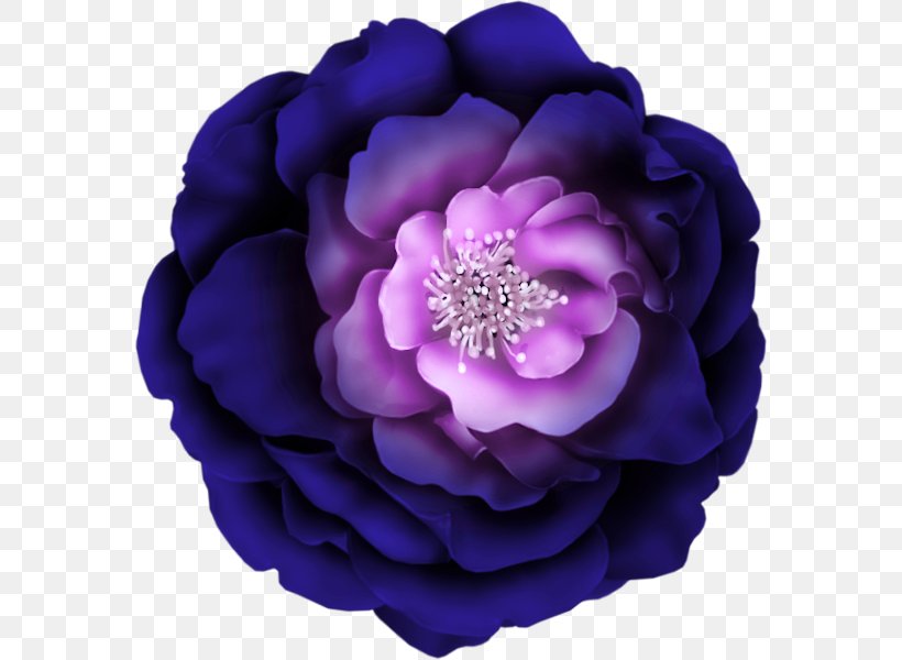 Flower Purple Clip Art, PNG, 576x600px, Flower, Botany, Floral Design, Image Resolution, Lilac Download Free