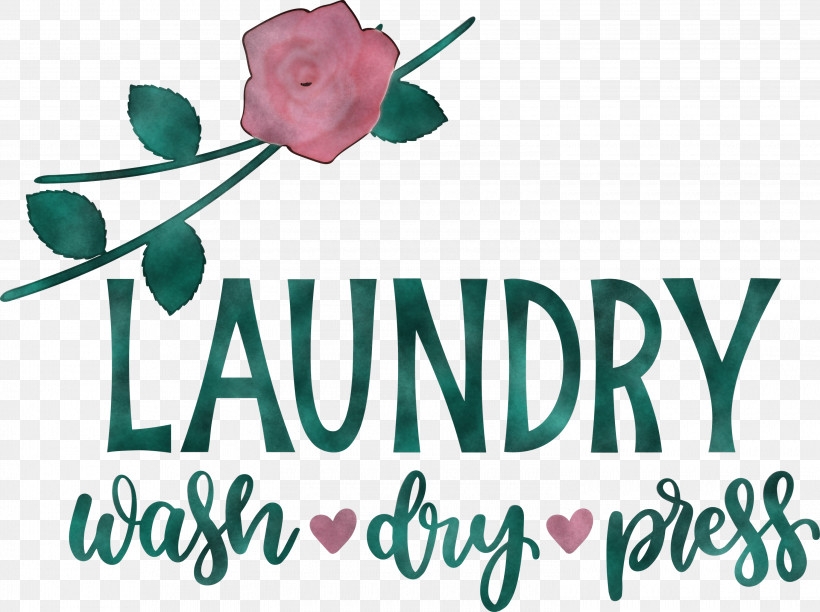 Laundry Wash Dry, PNG, 3000x2240px, Laundry, Cut Flowers, Doterra, Dry, Floral Design Download Free