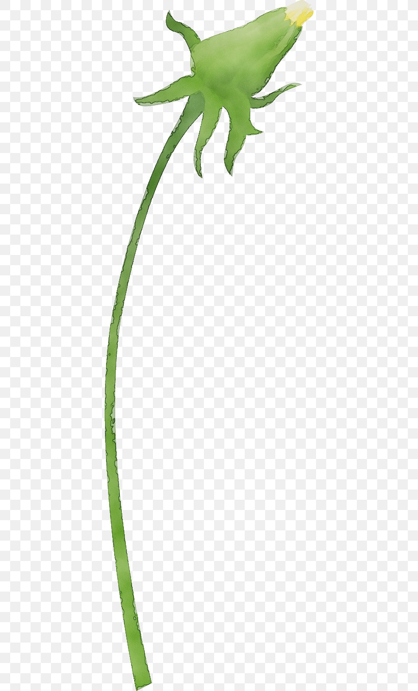 Twig Plant Stem Leaf Grasses Character, PNG, 410x1355px, Dandelion, Biology, Character, Character Created By, Flower Download Free