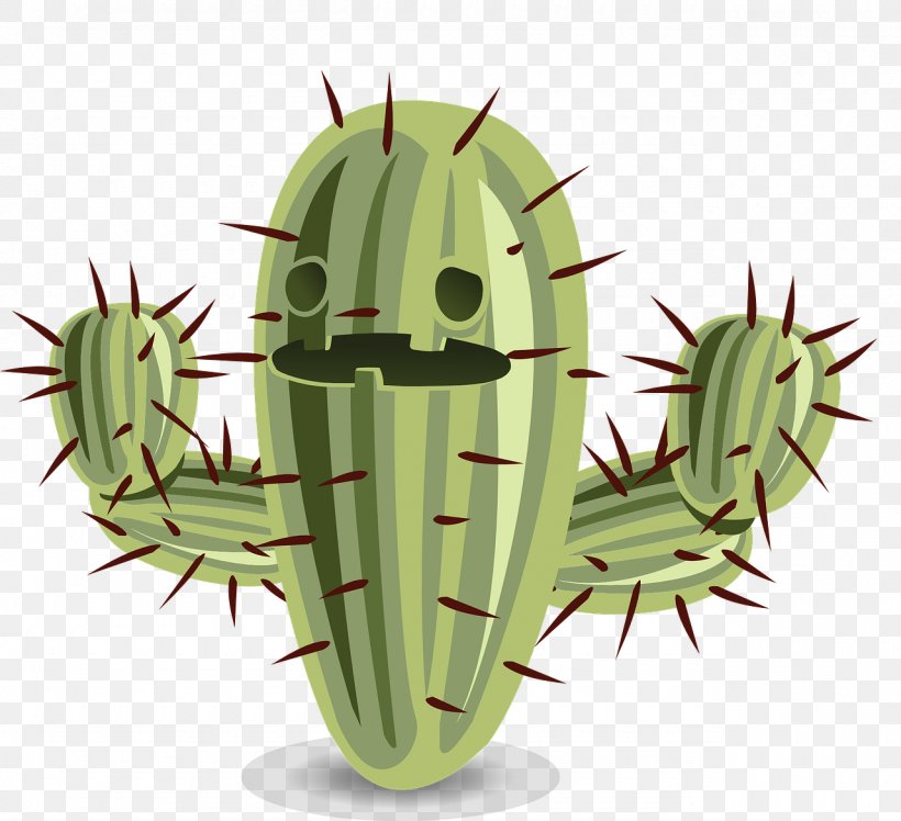 Cactaceae Amazon.com Thorns, Spines, And Prickles Clip Art, PNG, 1280x1168px, Cactaceae, Amazoncom, Cactus, Caryophyllales, Flowering Plant Download Free