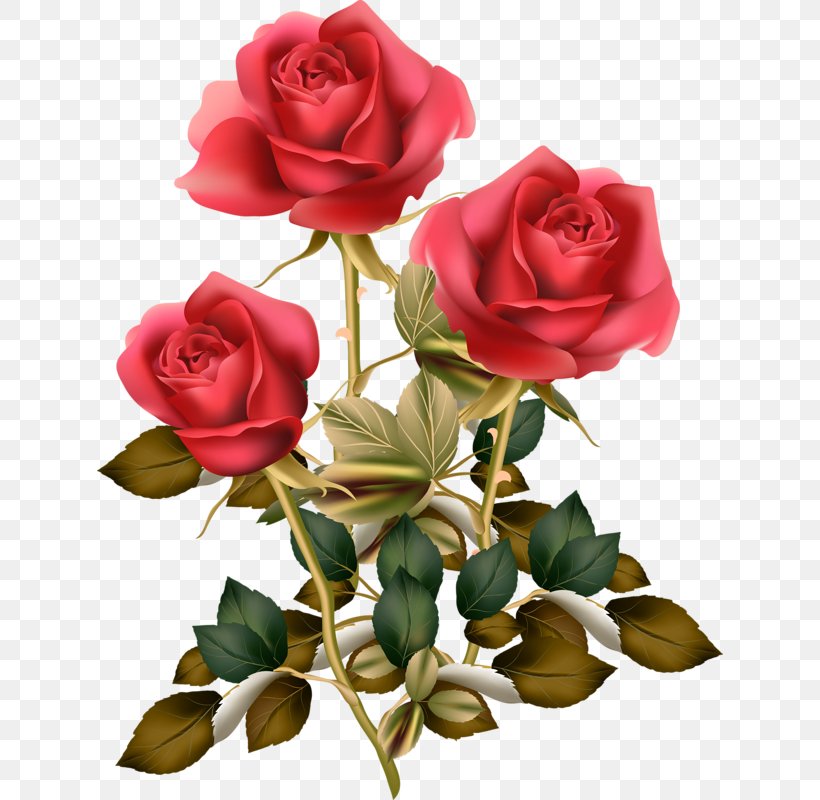 Clip Art Rose Image Illustration, PNG, 626x800px, Rose, Artificial Flower, Cut Flowers, Decoupage, Drawing Download Free