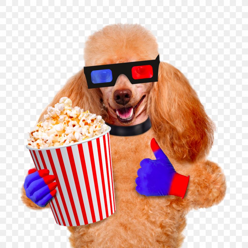 Dog Popcorn Cinema Film Stock Photography, PNG, 1000x1000px, 3d Film, Dog, Cinema, Eyewear, Film Download Free