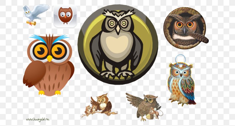 Owl Bird Clip Art, PNG, 699x442px, Owl, Animal, Beak, Bird, Bird Of Prey Download Free
