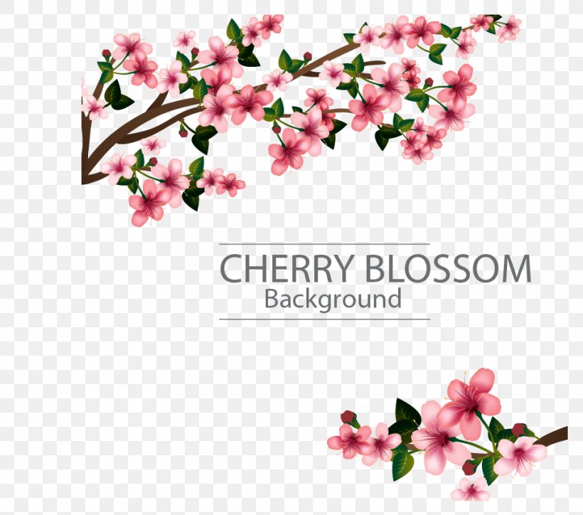Template Software Microsoft Word Funeral Microsoft Publisher, PNG, 959x847px, Template, Blossom, Branch, Brochure, Cherry Blossom Download Free
