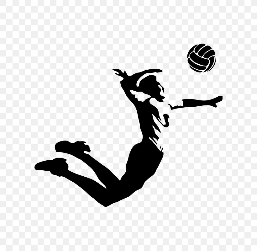 Volleyball VC Zenit-Kazan Sport VC Belogorie, PNG, 800x800px, Volleyball, Ball, Beach Volleyball, Black, Black And White Download Free