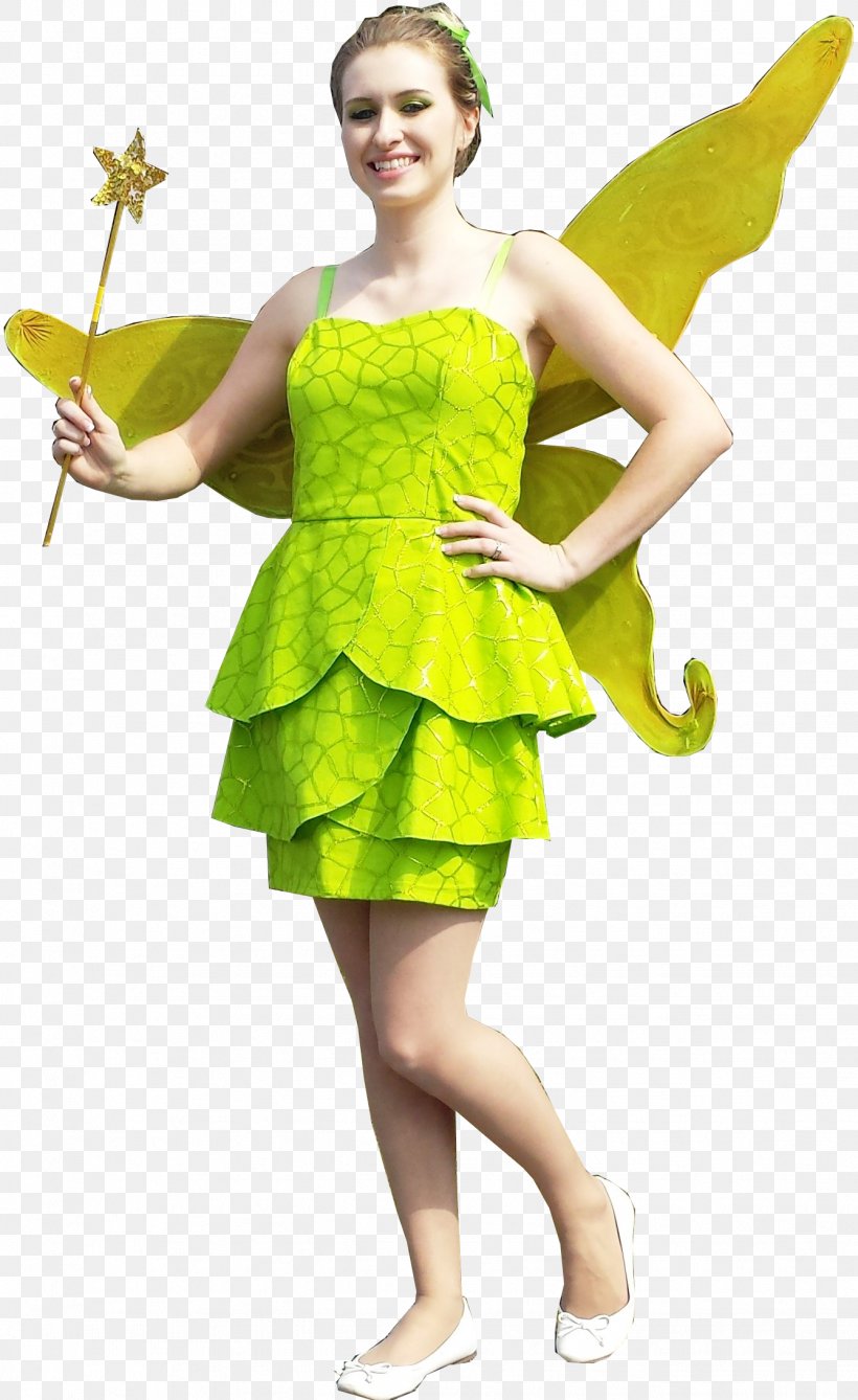 Costume Fairy Fashion Cosplay Dress, PNG, 1337x2182px, Costume, Child, Clothing, Cosplay, Costume Design Download Free