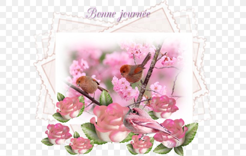 Garden Roses Desktop Wallpaper Bird Немцов мост Flower, PNG, 600x521px, Garden Roses, Artificial Flower, Bird, Blossom, Cherry Blossom Download Free