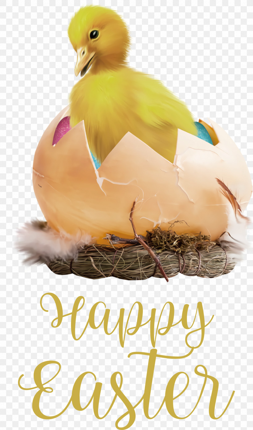 Happy Easter Chicken And Ducklings, PNG, 1771x3000px, Happy Easter, Animation, Cartoon, Chicken, Chicken And Ducklings Download Free