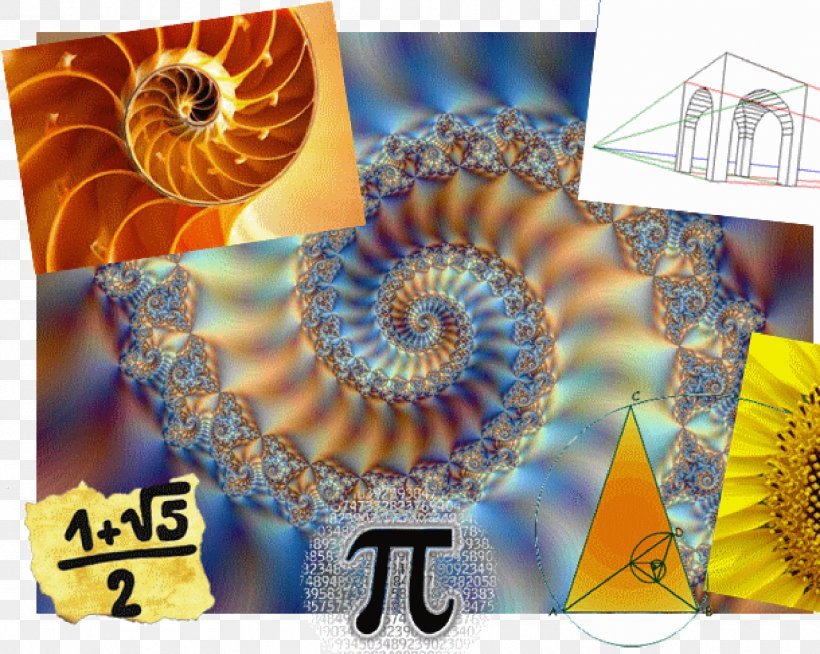 Nautilus Mathematics Fractal Sacred Geometry Seashell, PNG, 1890x1509px, Nautilus, Fibonacci Number, Fractal, Fractal Art, Geometry Download Free